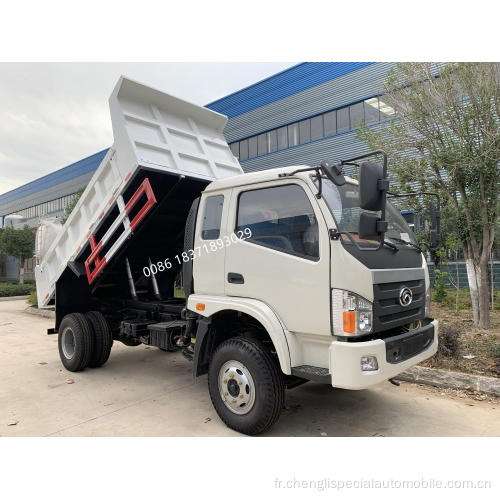 Camion à benne 5 tonnes Foton Mini Truck